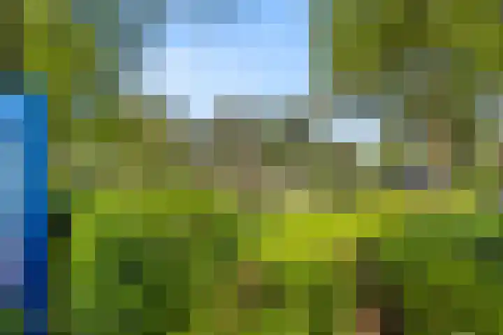 Barteweg 15 R 106 Ede thumbnail 26