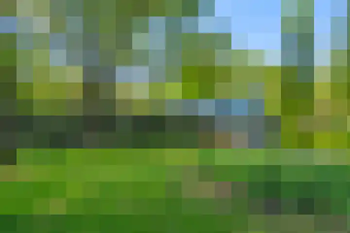 Barteweg 15 R 106 Ede thumbnail 27