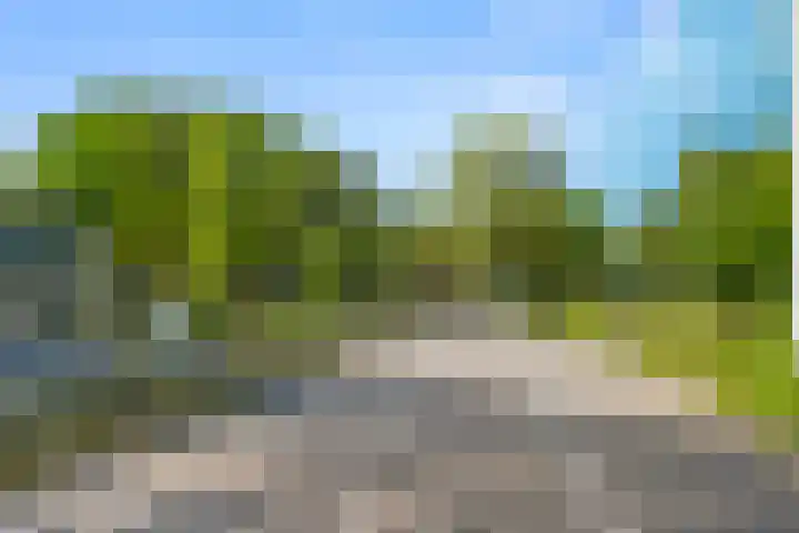 Barteweg 15 R 106 Ede thumbnail 28