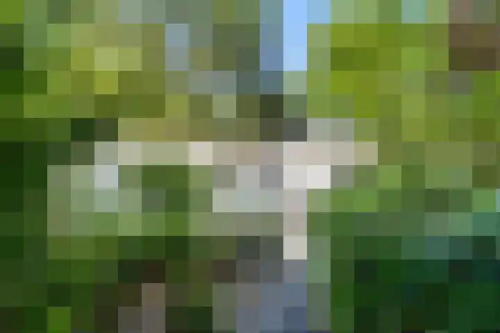 Barteweg 15 R 106 Ede thumbnail 4