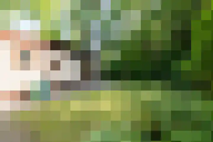 Barteweg 15 R 158 Ede thumbnail 4