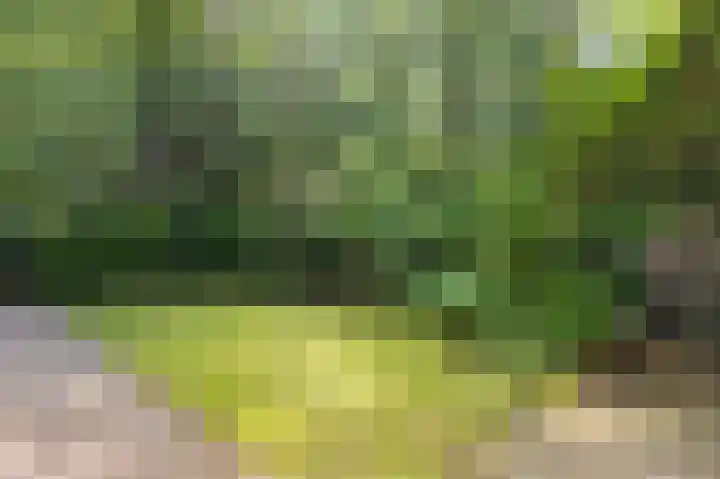 Barteweg 15 R 158 Ede thumbnail 5