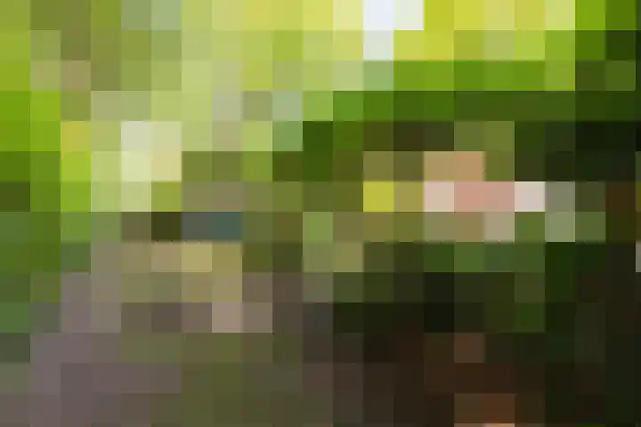 Barteweg 15 R 158 Ede thumbnail 7
