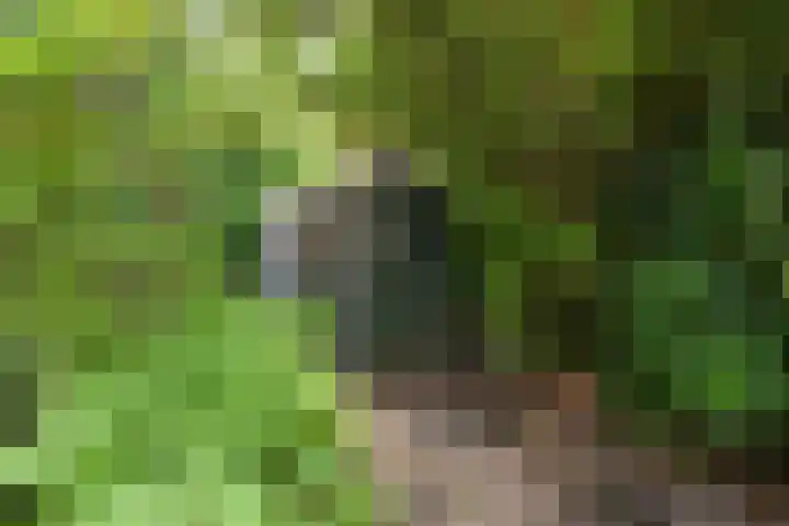 Barteweg 15 R 158 Ede thumbnail 8