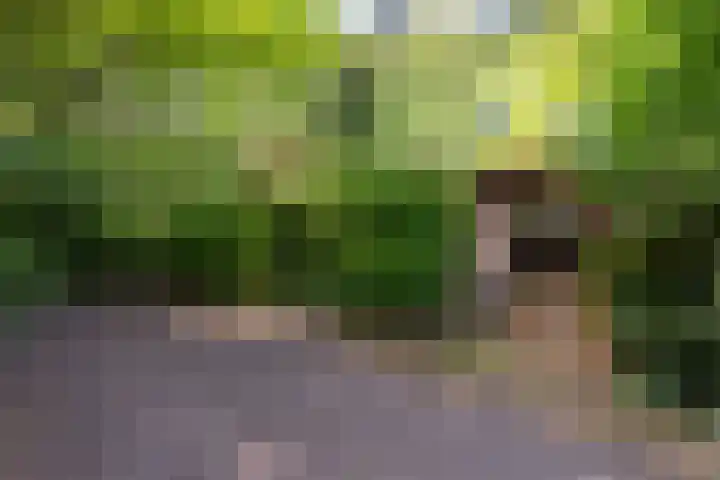 Barteweg 15 R 158 Ede thumbnail 9