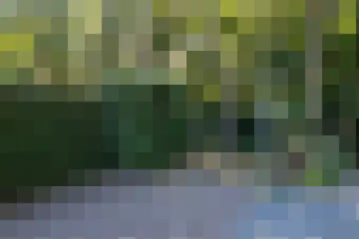 Barteweg 15 R 197 Ede thumbnail 17