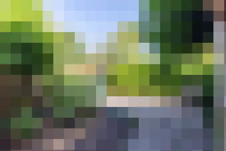 Barteweg 15 R 197 Ede thumbnail 18