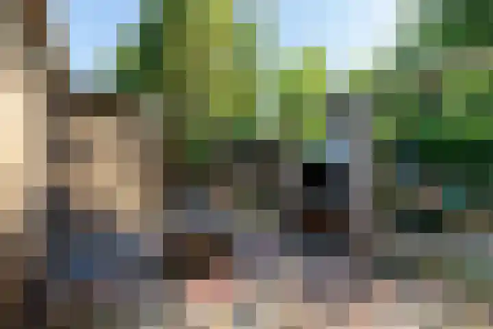 Barteweg 15 R 197 Ede thumbnail 4