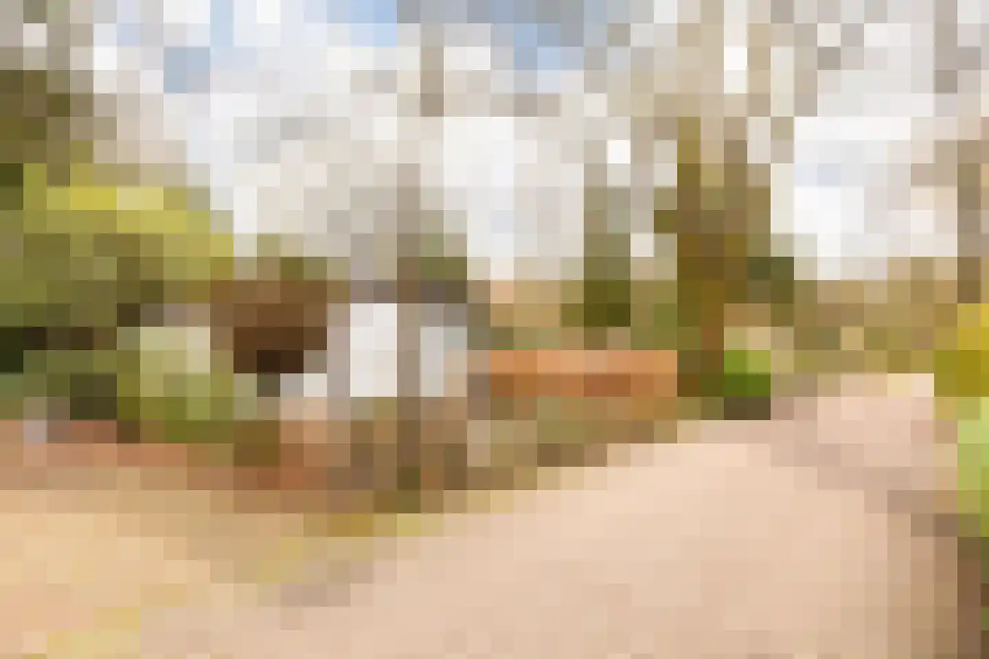 Barteweg 15 R 396 Ede thumbnail 24