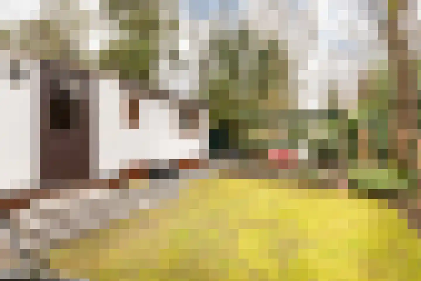 Barteweg 15 R 396 Ede thumbnail 4