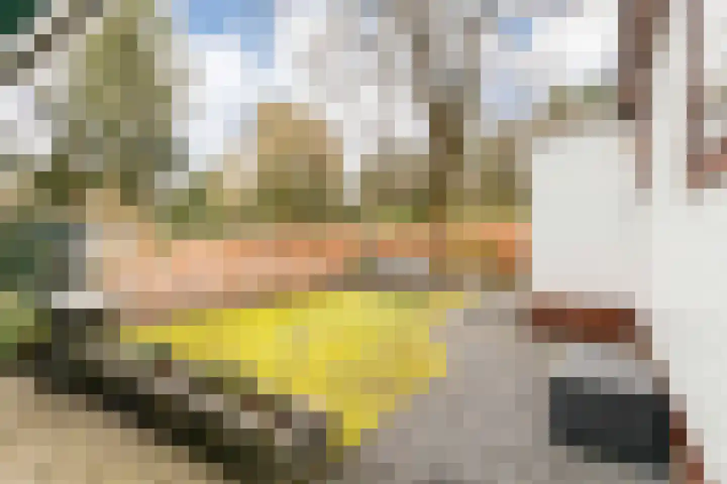 Barteweg 15 R 396 Ede thumbnail 5