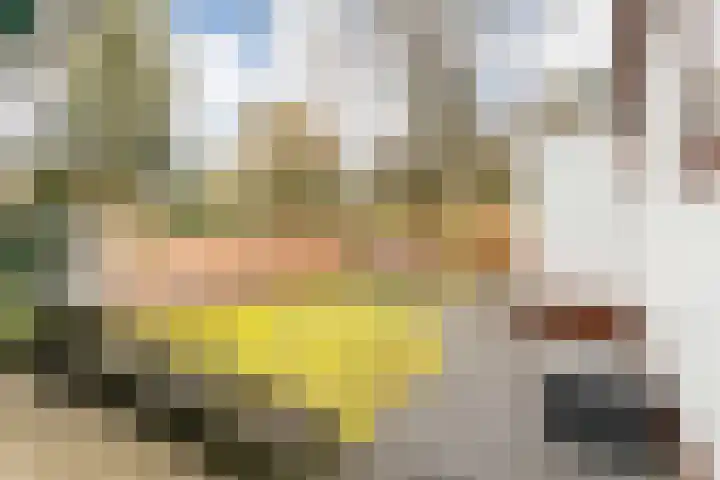 Barteweg 15 R 396 Ede thumbnail 5
