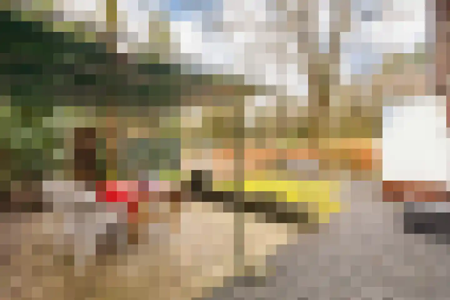 Barteweg 15 R 396 Ede thumbnail 8