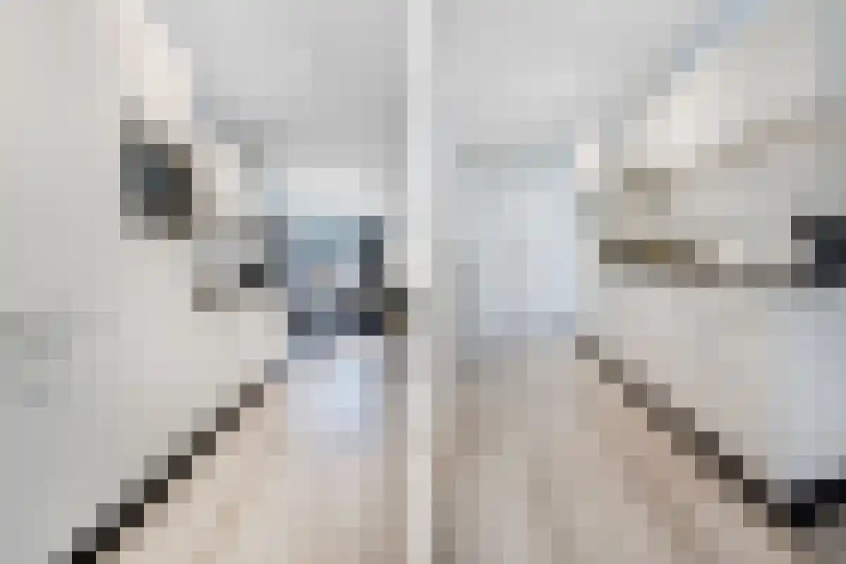 Barteweg 15 R 5 Ede thumbnail 4