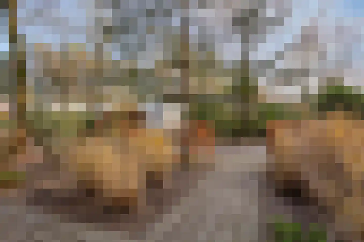 Barteweg 15 R 55 Ede thumbnail 23