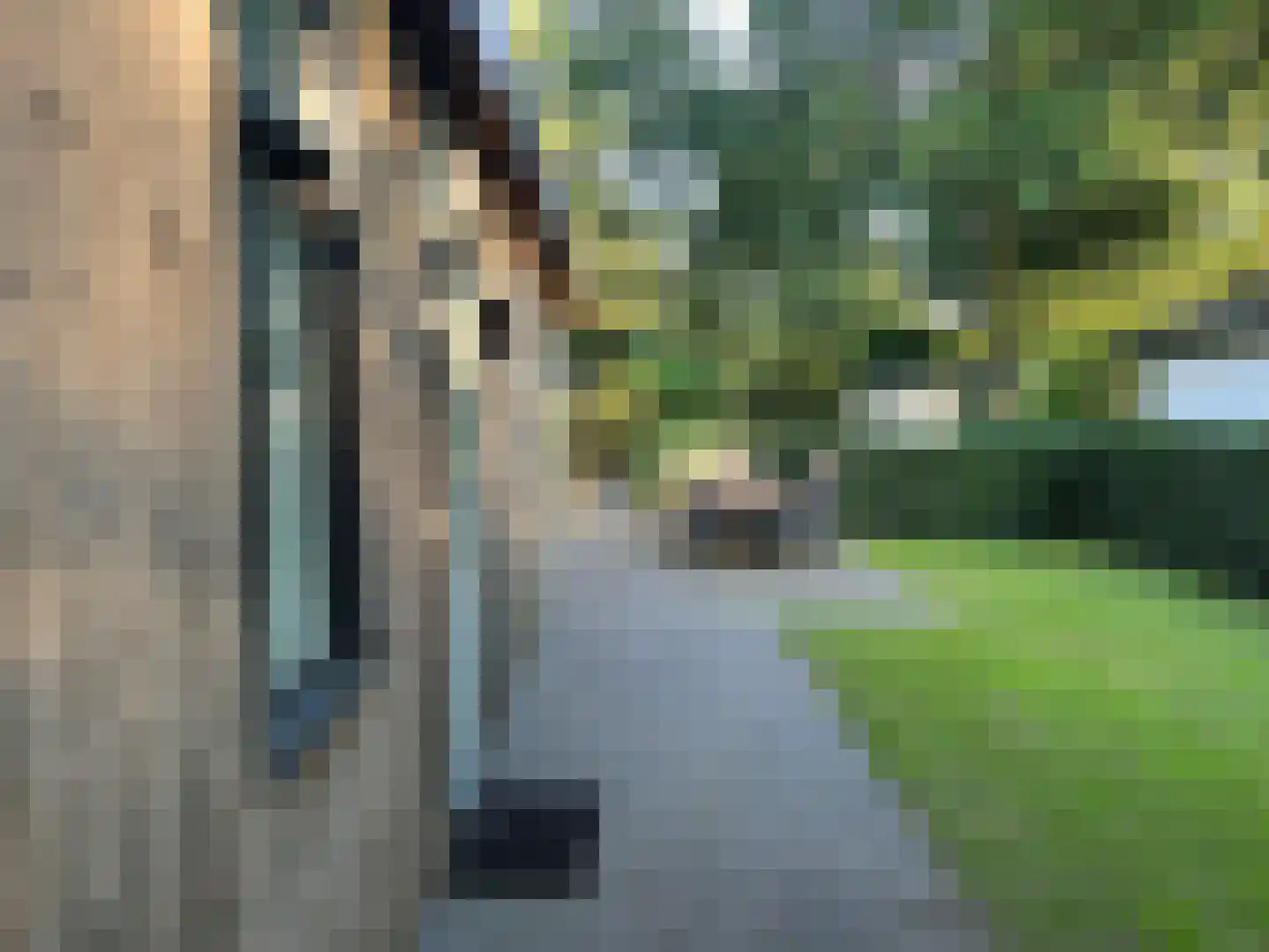 Barteweg 15 R 55 Ede thumbnail 30