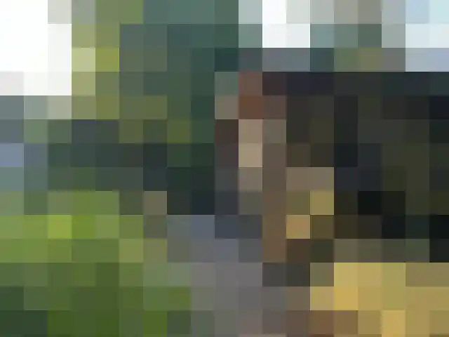 Barteweg 15 R 55 Ede thumbnail 32