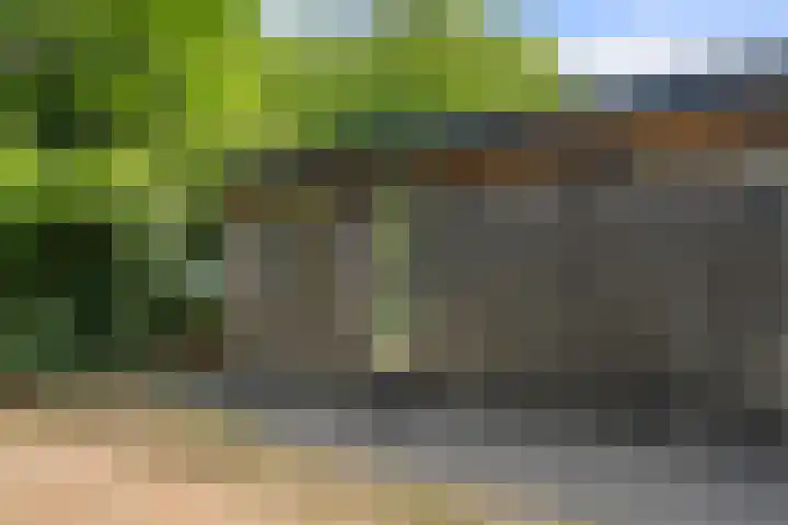 Barteweg 15 R 56 Ede thumbnail 18