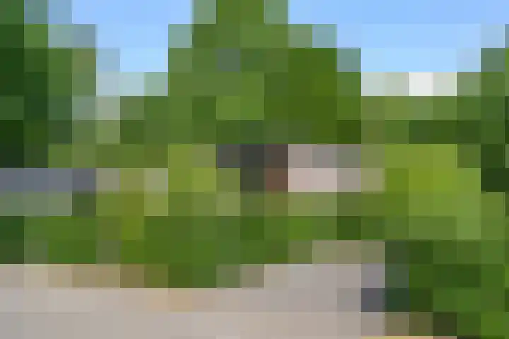 Barteweg 15 R 56 Ede thumbnail 19