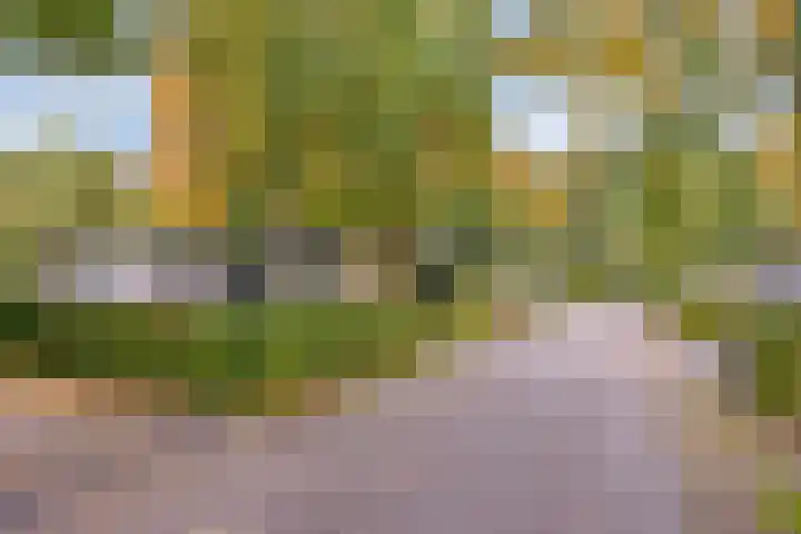 Barteweg 15 R 65 Ede thumbnail 16