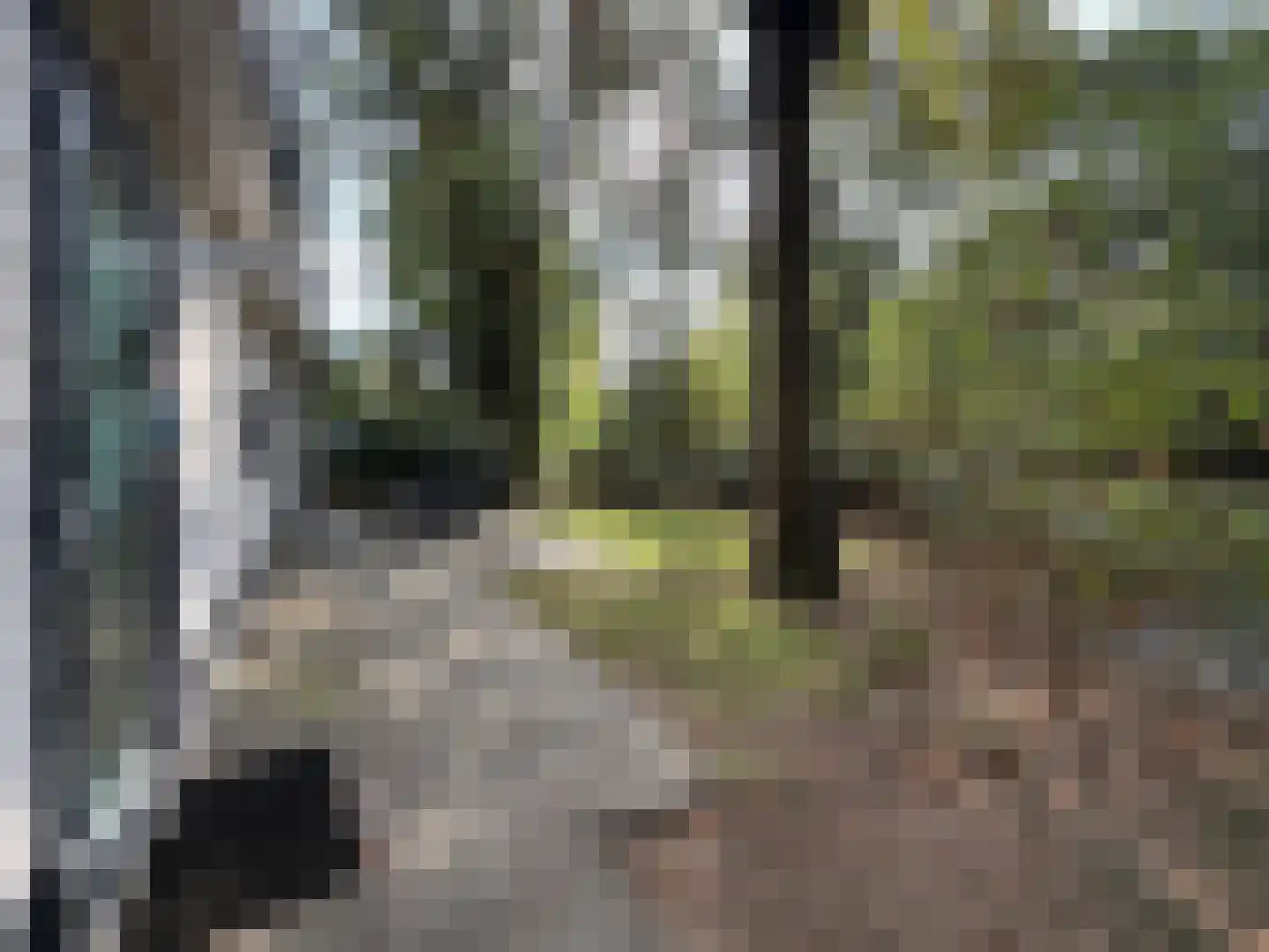 Barteweg 15 R30 Ede thumbnail 5