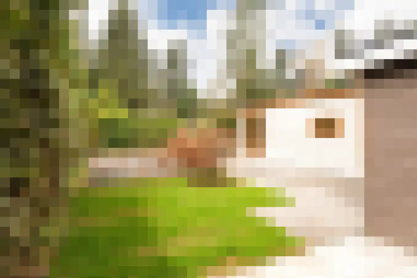 Barteweg 15 R386 Ede thumbnail 6