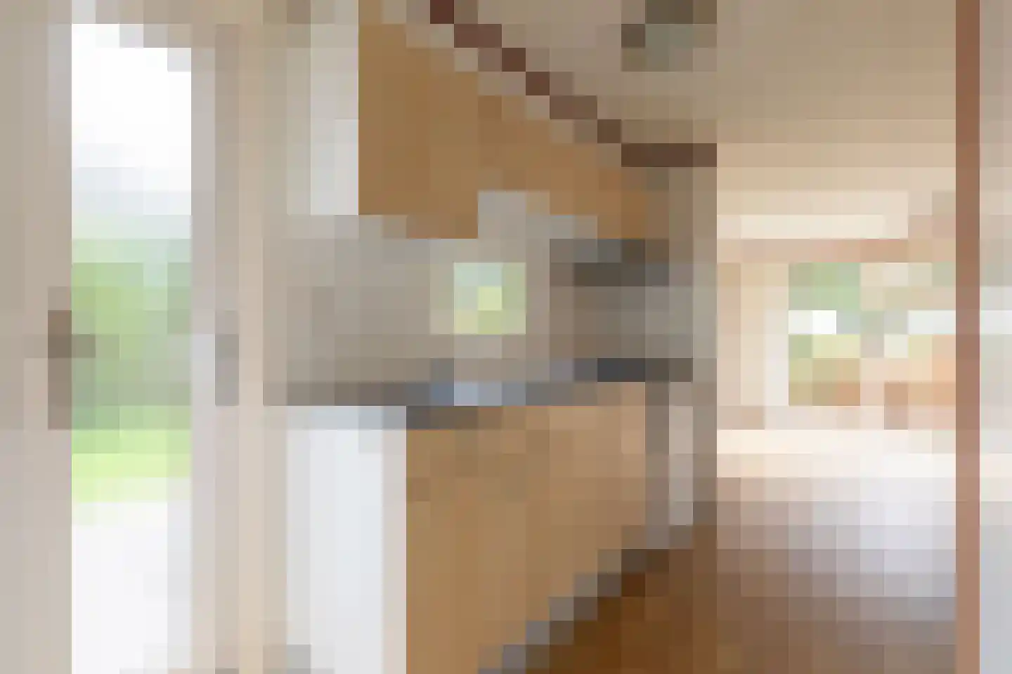 Barteweg 15 R386 Ede thumbnail 7