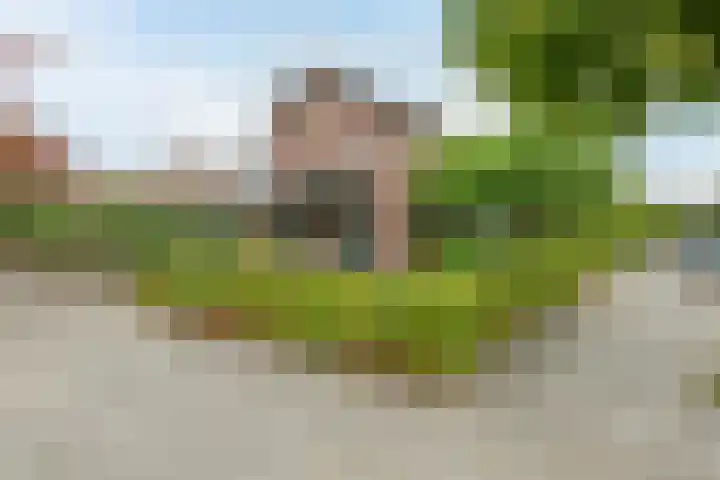 Barth. Diazstraat 21 Valkenswaard thumbnail 33