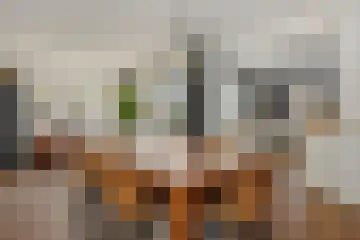 Barthold van Heesselstraat 16 Aarle-Rixtel thumbnail 21