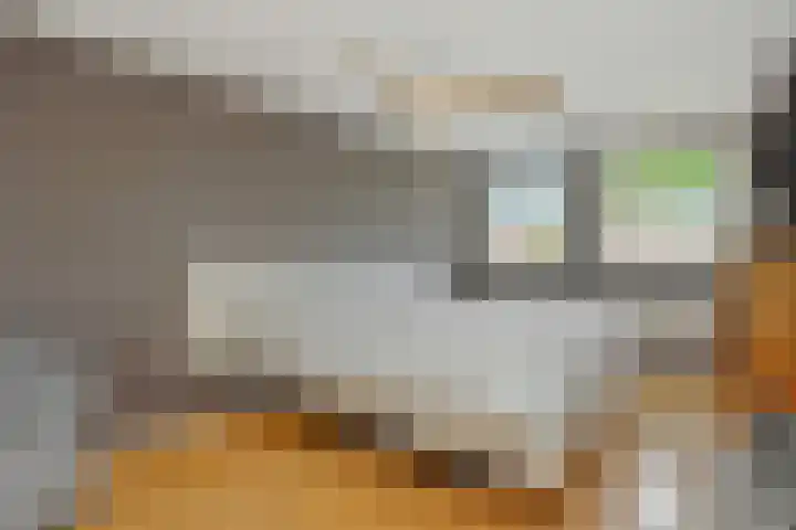 Barthold van Heesselstraat 16 Aarle-Rixtel thumbnail 38