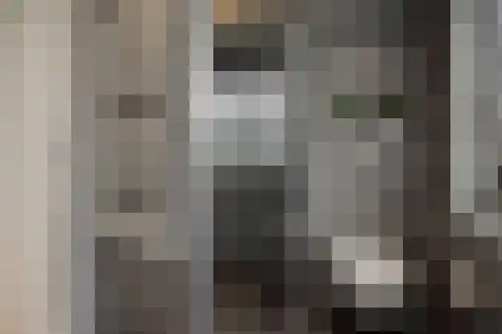 Barthold van Heesselstraat 16 Aarle-Rixtel thumbnail 47