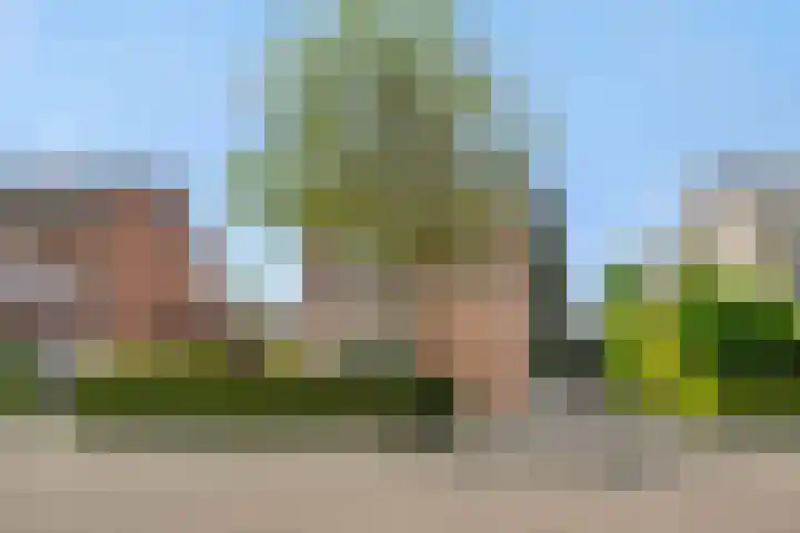 Barthold van Heesselstraat 16 Aarle-Rixtel thumbnail 5