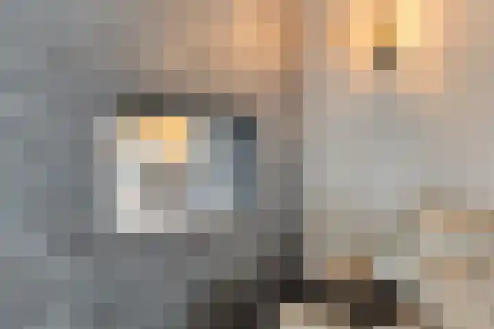 Barthold van Heesselstraat 22 Aarle-Rixtel thumbnail 18