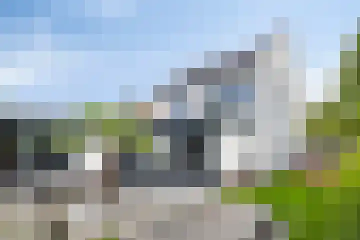 Barthold van Heesselstraat 22 Aarle-Rixtel thumbnail 44