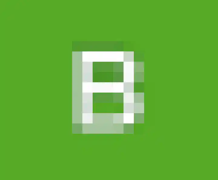 Barthold van Heesselstraat 22 Aarle-Rixtel thumbnail 49