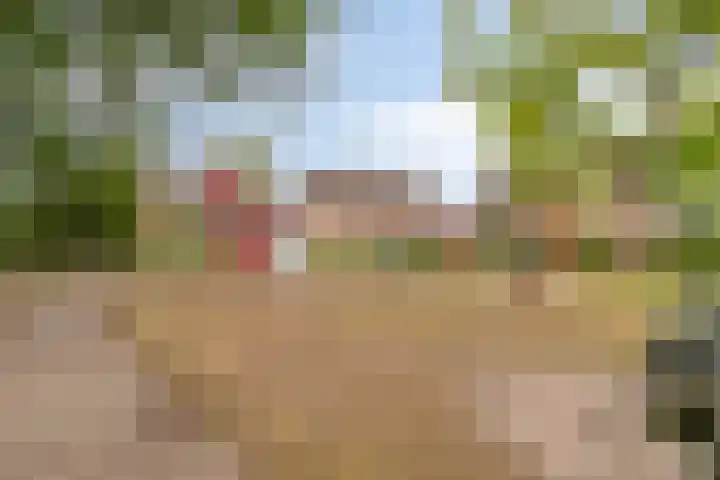Barthold van Heesselstraat 5 Aarle-Rixtel thumbnail 31