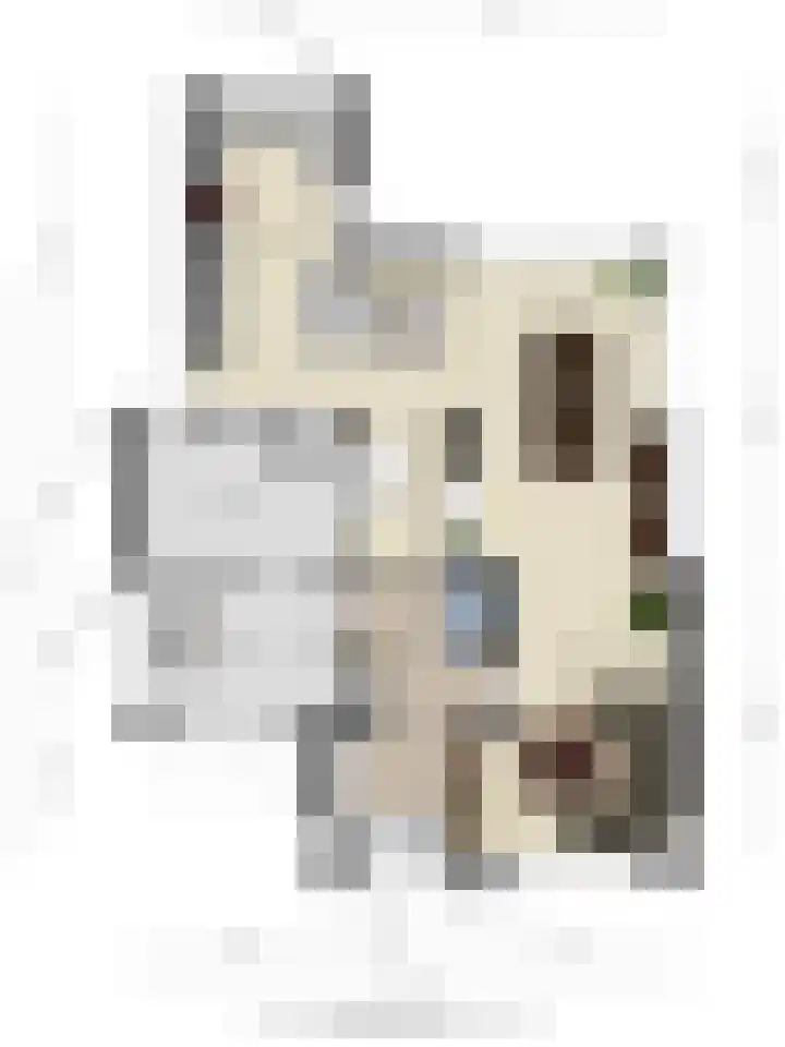 Barthold van Heesselstraat 5 Aarle-Rixtel thumbnail 33