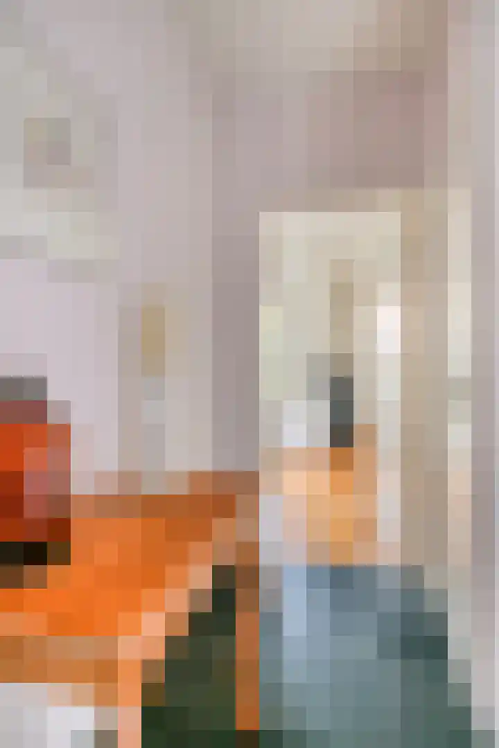 Barthold van Heesselstraat 7 Aarle-Rixtel thumbnail 4
