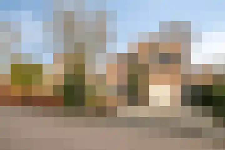 Barthold van Heesselstraat 7 Aarle-Rixtel thumbnail 46