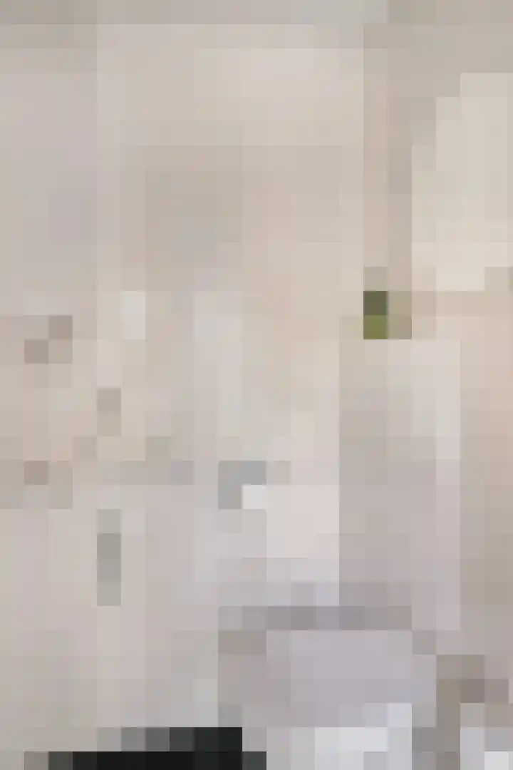 Barthold van Heesselstraat 7 Aarle-Rixtel thumbnail 5