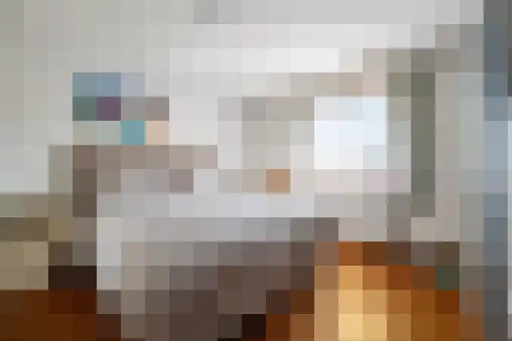 Bartholemeusstraat 38 Born thumbnail 14