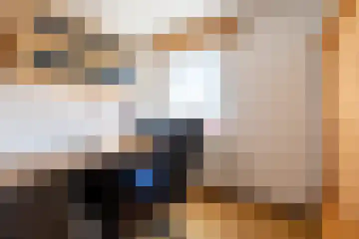 Bartholemeusstraat 38 Born thumbnail 16