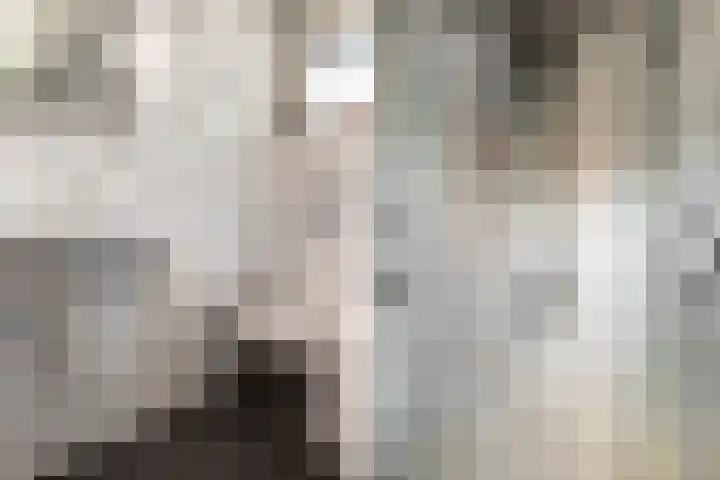 Bartholemeusstraat 38 Born thumbnail 18