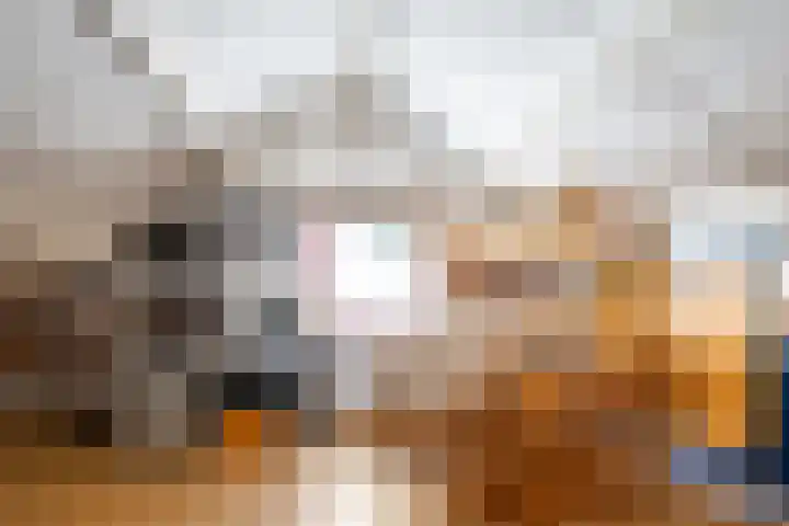 Bartholemeusstraat 38 Born thumbnail 20