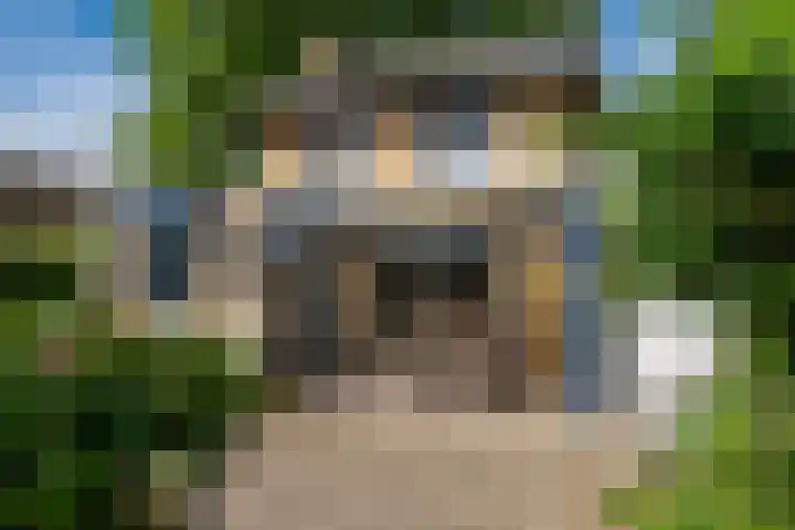 Bartholemeusstraat 38 Born thumbnail 25