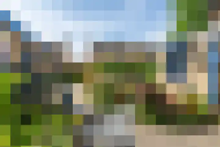 Bartholemeusstraat 38 Born thumbnail 29