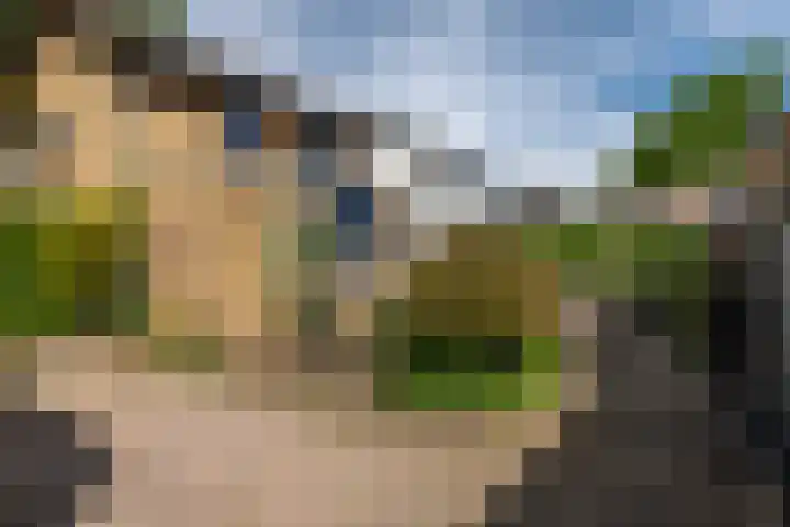 Bartholemeusstraat 38 Born thumbnail 30