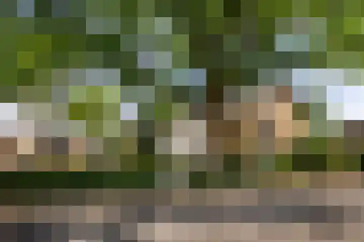 Bartholemeusstraat 38 Born thumbnail 33