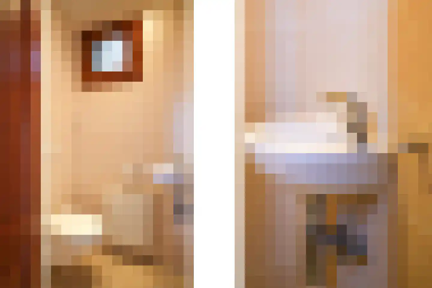 Bartholemeusstraat 7 Born thumbnail 12