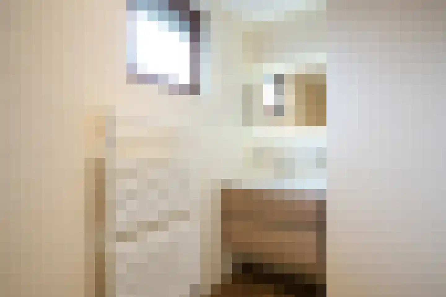 Bartholemeusstraat 7 Born thumbnail 18